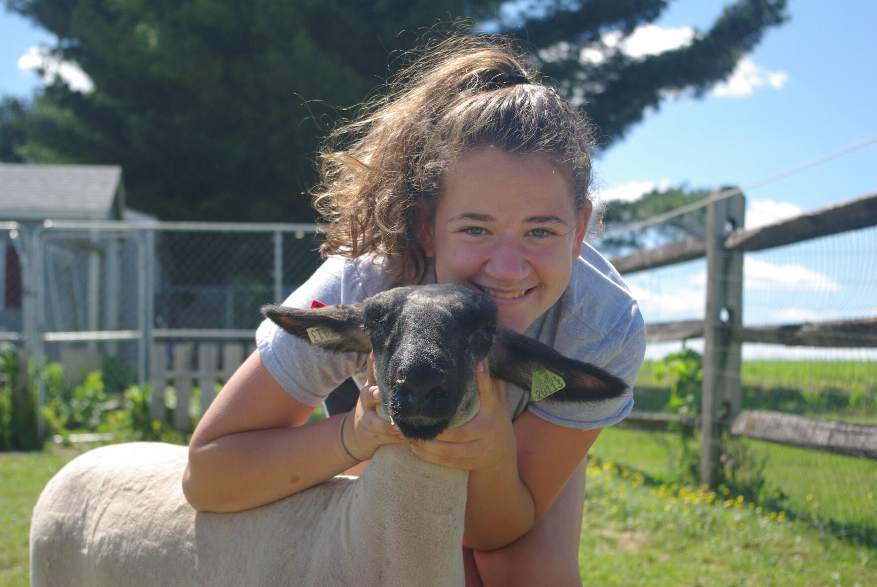 Bailey Oberholtzer with sheep